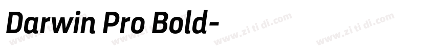 Darwin Pro Bold字体转换